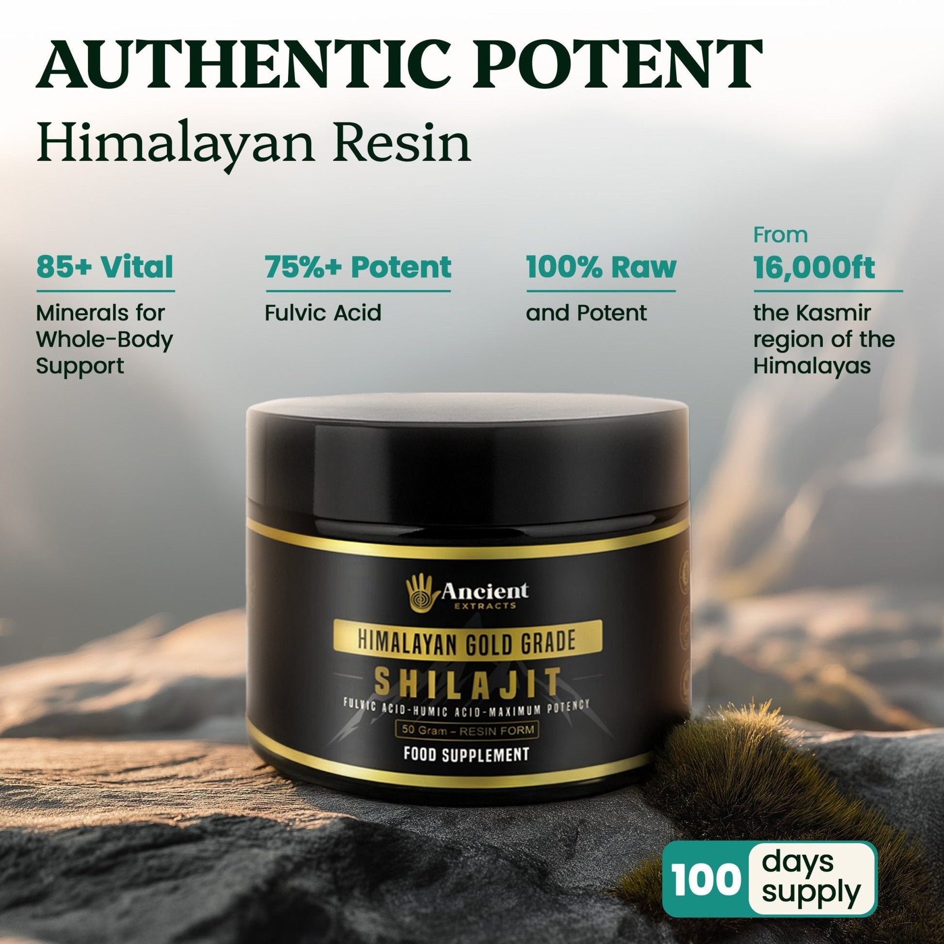 Shilajit Resin - Himalayan Gold Grade (50g)