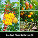 High Altitude Fruit Picking Claw Tool, Metal Garden Basket for Peaches, Pears, and Oranges, Convenient Gardening Tool