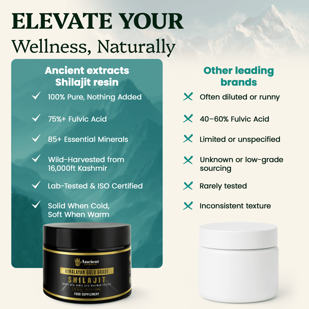 Shilajit Resin - Himalayan Gold Grade (50g)