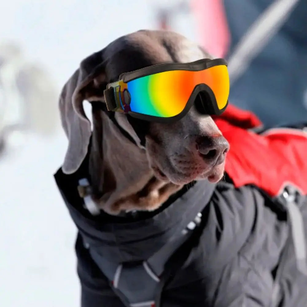 Dog Accessories Adjustable Strap Dog Goggles Windproof Waterproof Dog Sunglasses Anti-Fog UV Resistant Pet Glasses Outdoor