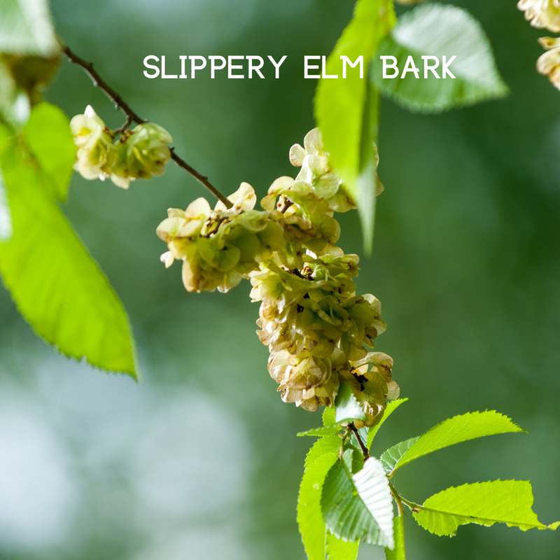 Colon Cleanse - Cleanse and Detox