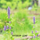 Colon Cleanse - Cleanse and Detox