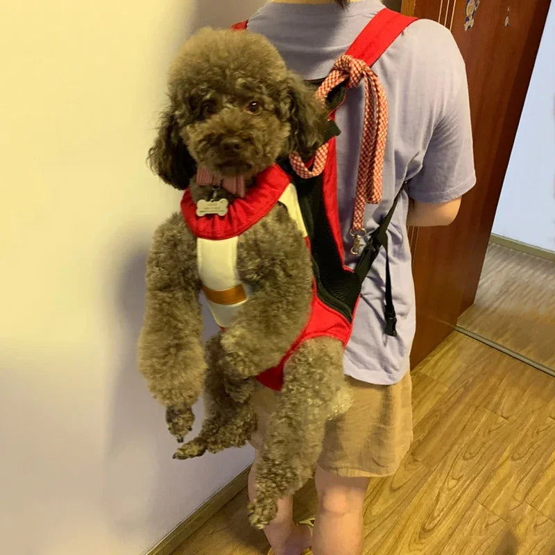 Cat Carrying Bag Design Cat Carrier Bag Cotton Canvas Backpack for Kitty Cat Supplies Bolso Transportador De Gatos Cat Carrier