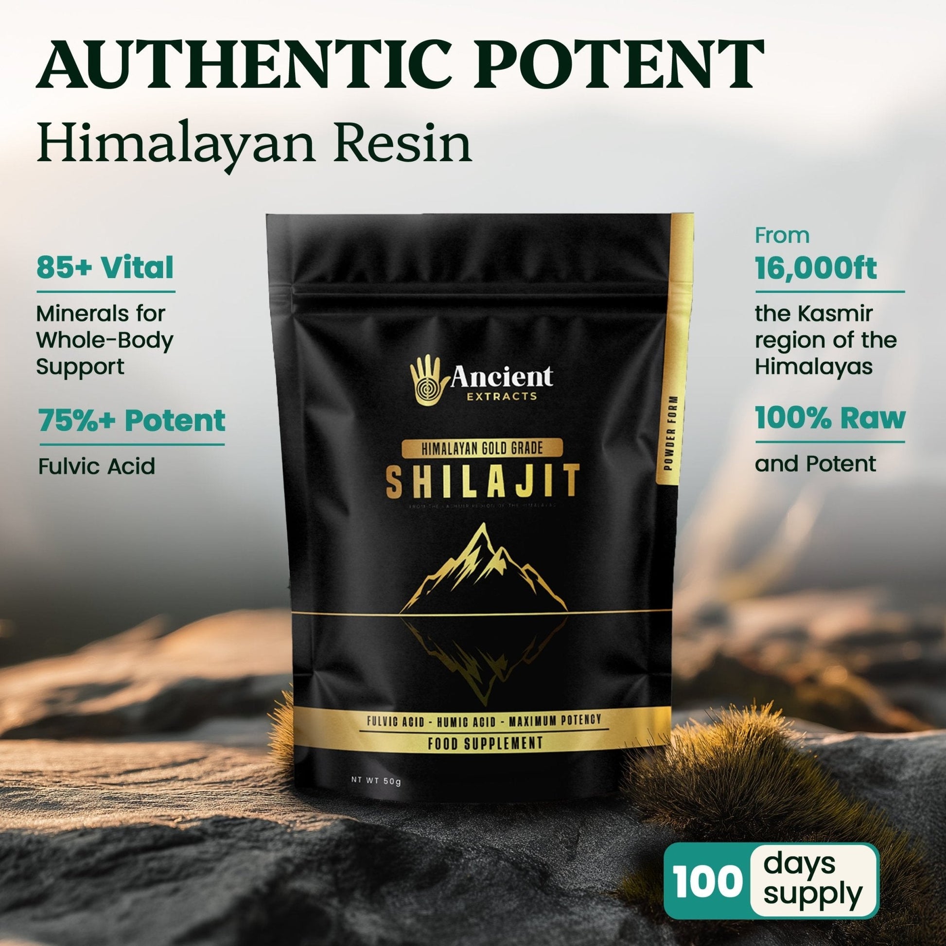 Shilajit Powder - Himalayan Gold Grade (50g)