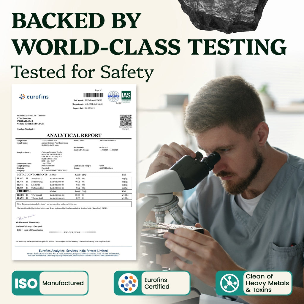 Shilajit Powder - Himalayan Gold Grade (50g)