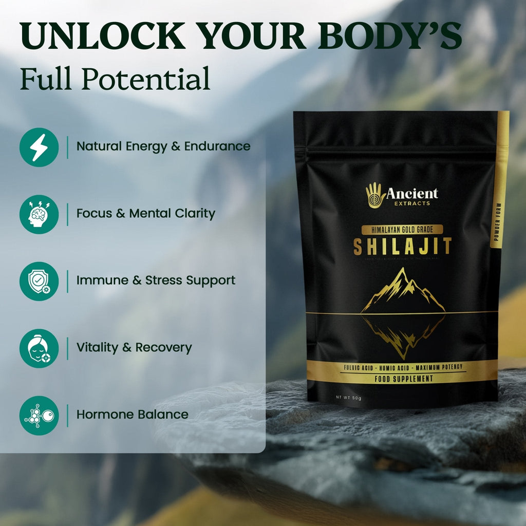 Shilajit Powder - Himalayan Gold Grade (50g)