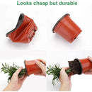 Plant Nursery Pots with Humidity Dome 4 Soft Transparent Plastic Gardening Pot Planting Containers Cups Planter Small Starter S