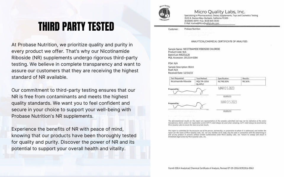 Nicotinamide Riboside (NR) Supplement