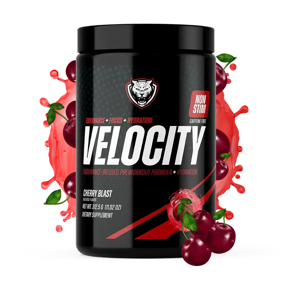 VELOCITY
